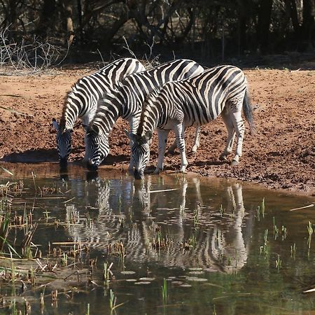 Bushbaby Lodge & Camping Hluhluwe Bagian luar foto