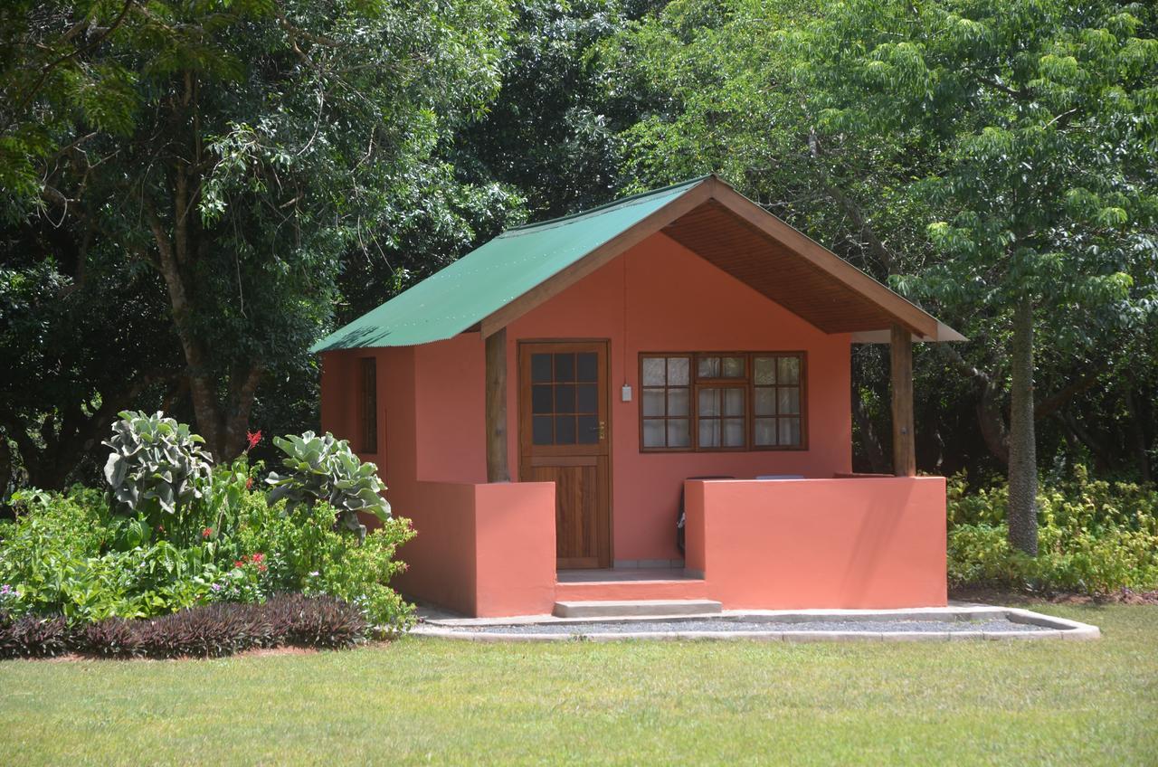 Bushbaby Lodge & Camping Hluhluwe Bagian luar foto